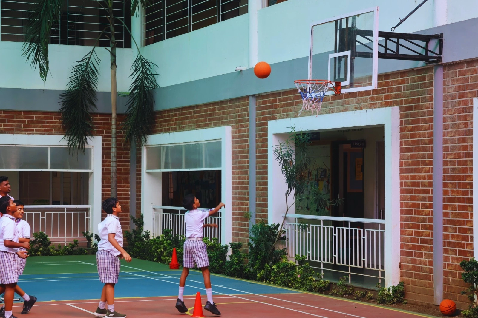 basketball updated
